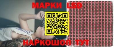 гидропоника Новокубанск