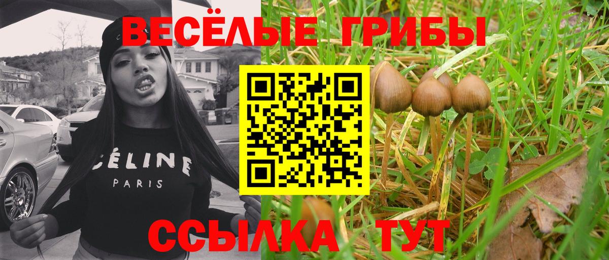 Галлюциногенные грибы GOLDEN TEACHER Заинск